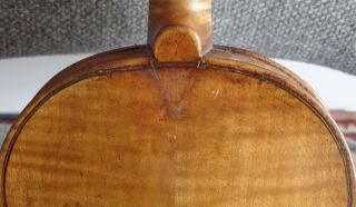 Italian Antique 19th Century Neapolitan Violin ascribed to Ventapane,  Pasquale 8