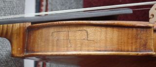Italian Antique 19th Century Neapolitan Violin ascribed to Ventapane,  Pasquale 9
