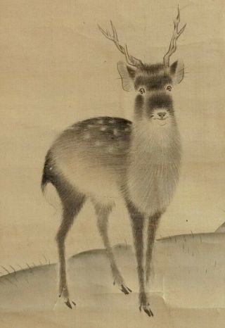 I586: Japanese Old Wide Hanging Scroll.  Deer With Great Atmosphere.