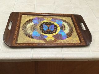 Vintage Art Deco Butterfly Wing & Wood Inlay Inlaid Tray