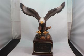 Airforce Award W/ Large Bald Eagle 367th Recruit Group 336th Rcs Sgt Of The Year