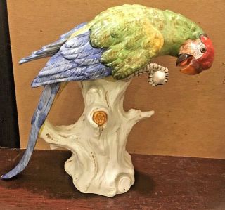 Karl Ens Volkstedt Antique 1918 hand painted porcelain parrot,  nut figure statue 2