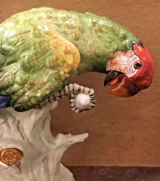 Karl Ens Volkstedt Antique 1918 hand painted porcelain parrot,  nut figure statue 3
