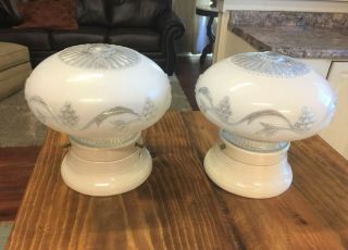 2 Antique Frosted Glass Flush Mount Ceiling Light Fixture Porcelier W/globes
