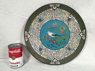 Antique Japanese 19th C.  Cloisonne Charger Plate Birds & Flowers Decoration 12 "