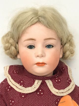 Antique C1900 Gebruder Heubach Bisque Child Doll 17 " Scp
