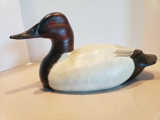 Mr Ducks Wood Decoy Carved Painted Thomas Chandler Canvasback 14 "