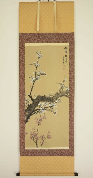 掛軸1967 Chinese Hanging Scroll " Ume Tree " @n330