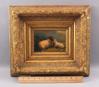 Antique 19thc Scottish Blackface Sheep Landscape Oil Painting & Gold Gilt Frame