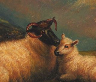 Antique 19thC Scottish Blackface Sheep Landscape Oil Painting & Gold Gilt Frame 4