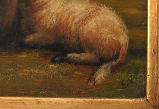 Antique 19thC Scottish Blackface Sheep Landscape Oil Painting & Gold Gilt Frame 5