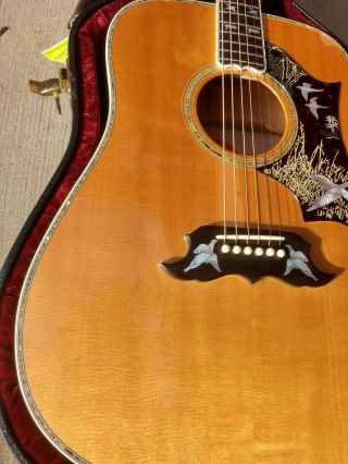 Gibson Acoustic Doves In Flight Antique Cherry Finish on Maple 12