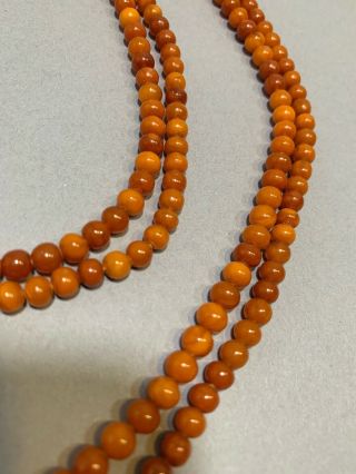 Baltic Butterscotch Amber Beads Egg Yolk Smooth Necklace Vintage 60” 5.  5mm 3