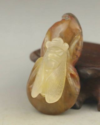 Chinese Old Natural Yellow Jade Hand - Carved Cacada Pendant 2.  1 Inch