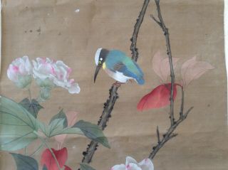 Chinese Hanging Scroll Kakejiku 掛軸 Flower And A Bird / W 50× H 177[cm] [a400]