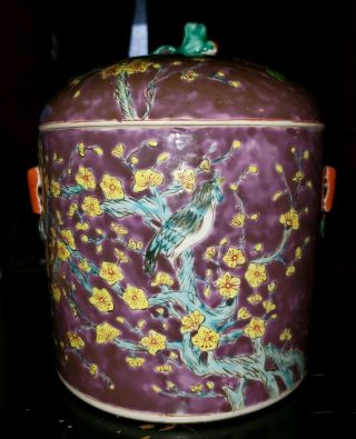 Straits Chinese Peranakan Nyonya Porcelain Jar