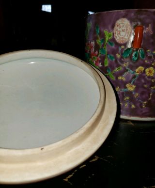 Straits Chinese Peranakan Nyonya Porcelain Jar 8