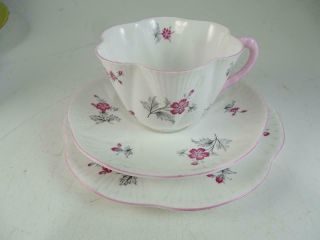 Vintage Shelley Fine Bone China England Red Grey Flower Teacup & Saucer Set Old