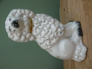 Pr 19thc STAFFORDSHIRE MINIATURE WHITE POODLES IN SITTING POSE C.  1860 6
