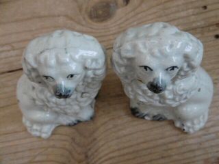 Pr 19thc STAFFORDSHIRE MINIATURE WHITE POODLES IN SITTING POSE C.  1860 8