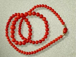 24 " 39 Gr Vtg Mediterranean Red Oxblood Coral Beads Necklace 18kt Gold Clasp