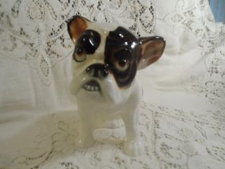 Antique Large Hand - Painted Porcelain French Bulldog Statue Figurine