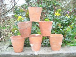 6 Old Vintage Hand Thrown Terracotta Plant Pots 3.  25 " Diameter Auricula Pots 12