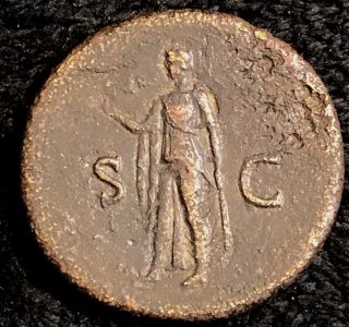 Titus As Augustus 80AD Ancient Roman Large Sestertius Spes 36mm 23.  8g 12 Caesars 2