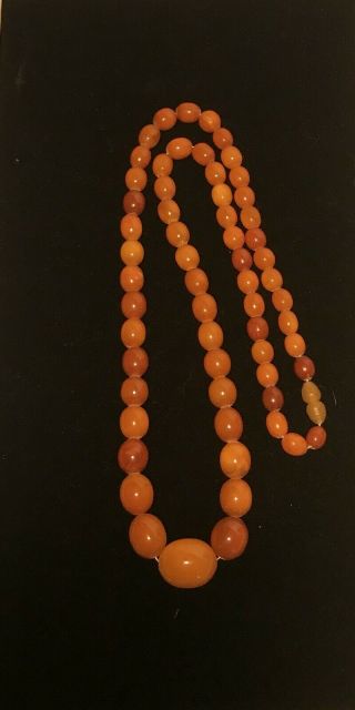 Antique Vintage Rare Baltic Amber Olive Shape Bead Butterscotch Necklace