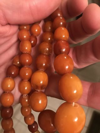 Antique Vintage Rare Baltic Amber Olive Shape Bead Butterscotch Necklace 3