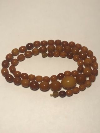 Antique Vintage Rare Baltic Amber Olive Shape Bead Butterscotch Necklace 8