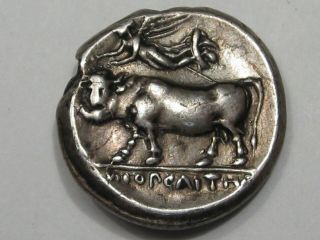 Ancient Coin: Neapolis (340 - 300 Bc) Didrachm Silver.  Artemis Head,  Bull & Nike.