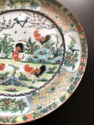 VTG Antique 19/20th C Chinese Export Canton Famille Rooster Chicken Plate Art 7