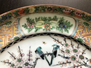 VTG Antique 19/20th C Chinese Export Canton Famille Rooster Chicken Plate Art 8