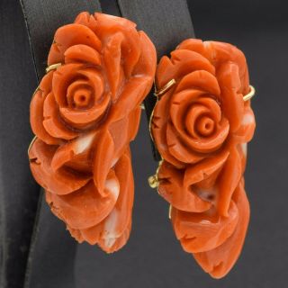 Vintage 14k Yellow Gold Red Coral Carved Rose Flower Omega Back Earrings 26.  6 G