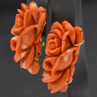 Vintage 14K Yellow Gold Red Coral Carved Rose Flower Omega Back Earrings 26.  6 G 3