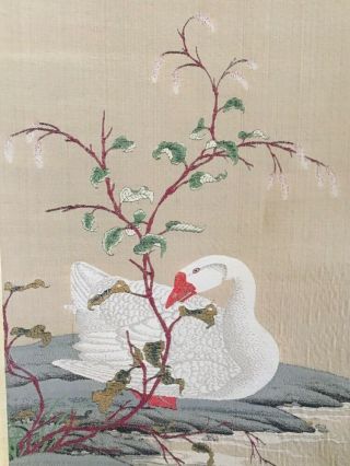 Antique Chinese Asian Silk Embroidery Kesi Type Scroll - Majestic Peking Duck 6