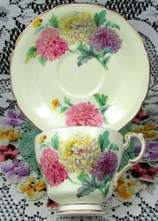 Paragon Pink Purple Yellow Chrysanthemum Tea Cup And Saucer