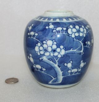 A 4.  5 " And A 5 " Chinese Underglazed Blue Prunus Blossoms Hawthorn Ginger Jars