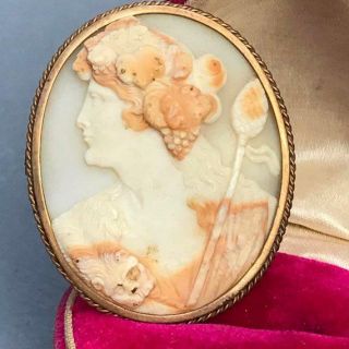 Large Victorian 10kt Gold Belle Epoque Bacchante Carved Shell Cameo Pin Brooch