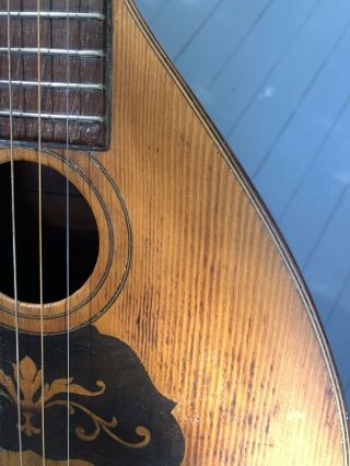 Antique Vintage August Pollmann Mandoline Guitar,  six strings,  rare,  complete 7