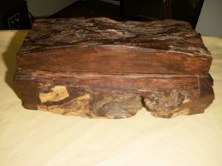 Rare Unusual Handmade Antique Petrified Wood Lidded Box