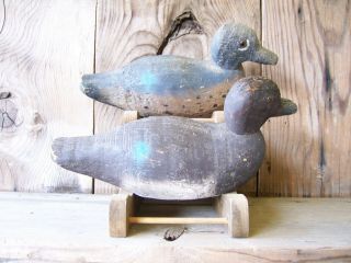 Antique - Vintage - Factory - Animal trap - Victor - Teal - Wooden duck decoy 2