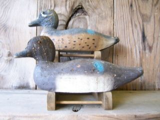 Antique - Vintage - Factory - Animal trap - Victor - Teal - Wooden duck decoy 3