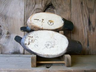 Antique - Vintage - Factory - Animal trap - Victor - Teal - Wooden duck decoy 4