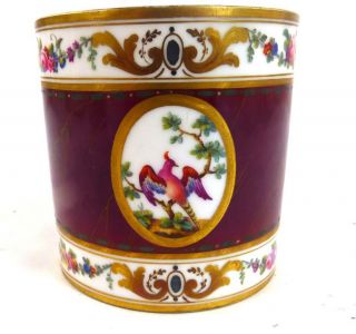 C1781 ANTIQUE SEVRES CUP BIRDS PANELS MAROON GROUND TASSE GOBELET LITRON 6