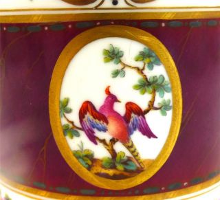 C1781 ANTIQUE SEVRES CUP BIRDS PANELS MAROON GROUND TASSE GOBELET LITRON 7