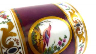 C1781 ANTIQUE SEVRES CUP BIRDS PANELS MAROON GROUND TASSE GOBELET LITRON 9