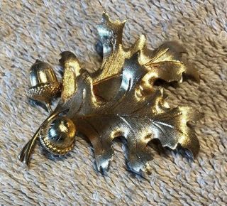 Vintage 14k Gold Leaf And Acorn Brooch Pin - 11 Grams 2