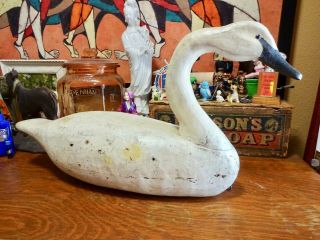 Vintage R.  W.  Schaap Signed Hollow Carved Wood Swan Decoy Inset Glass Eyes
